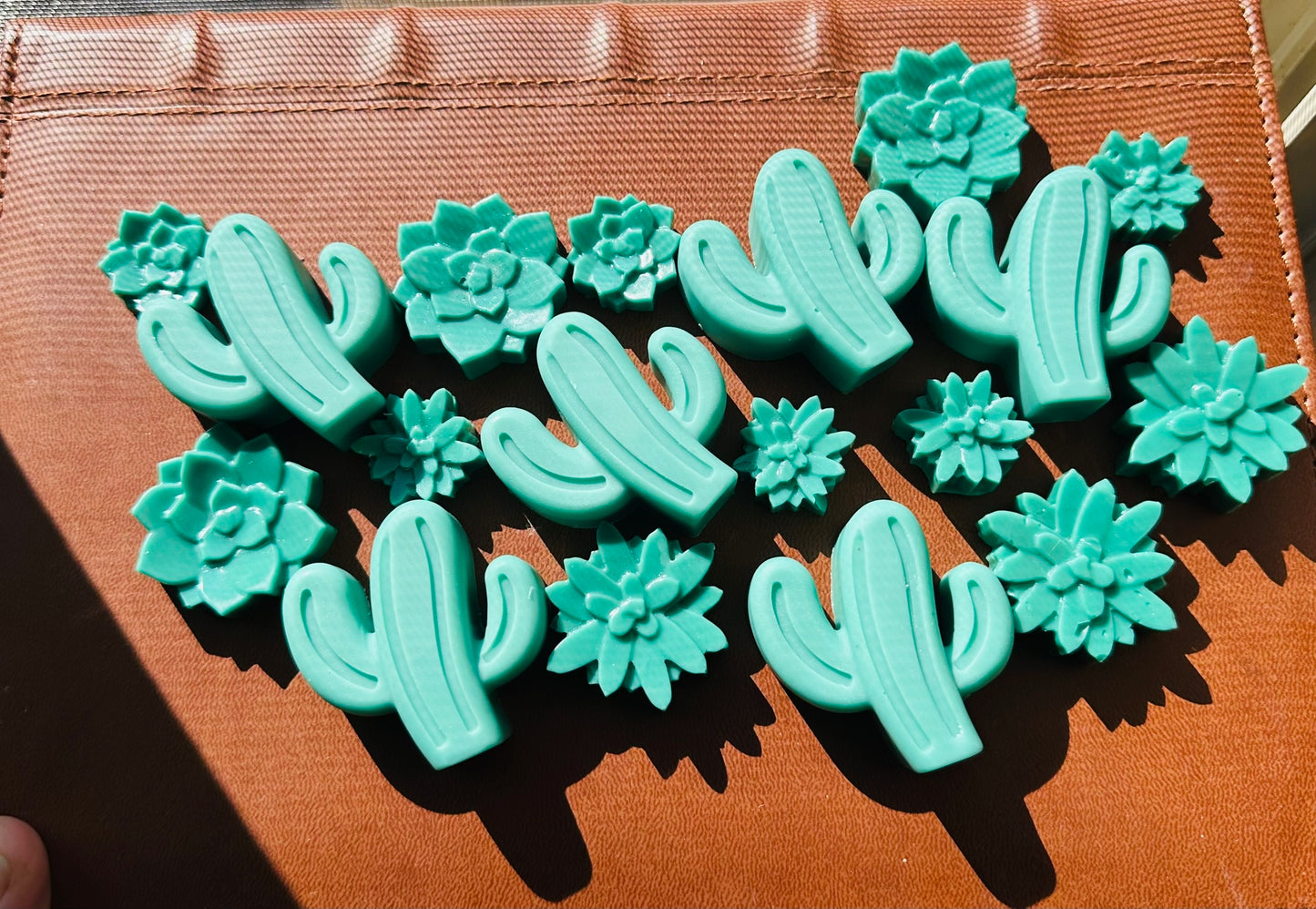 Baja Cactuses & Succulents Wax Melts 5oz